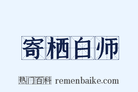 寄栖白师是什么意思的图片